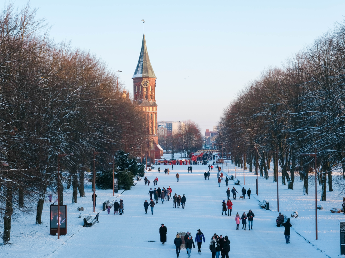 Фото: новогодний Калининград