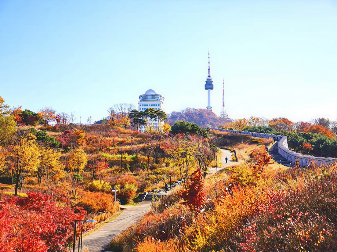 Сеульская башня