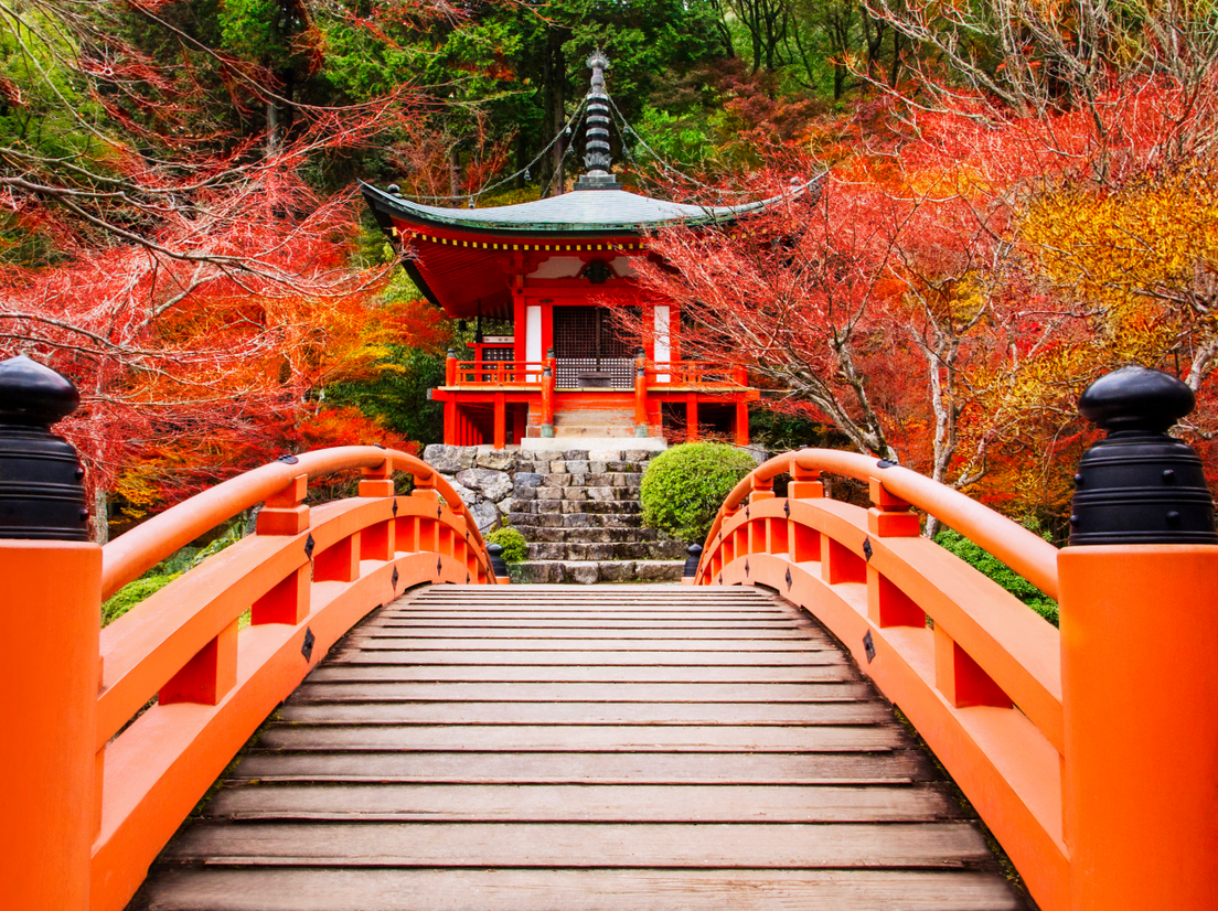 Осенние клены в Киото, фото