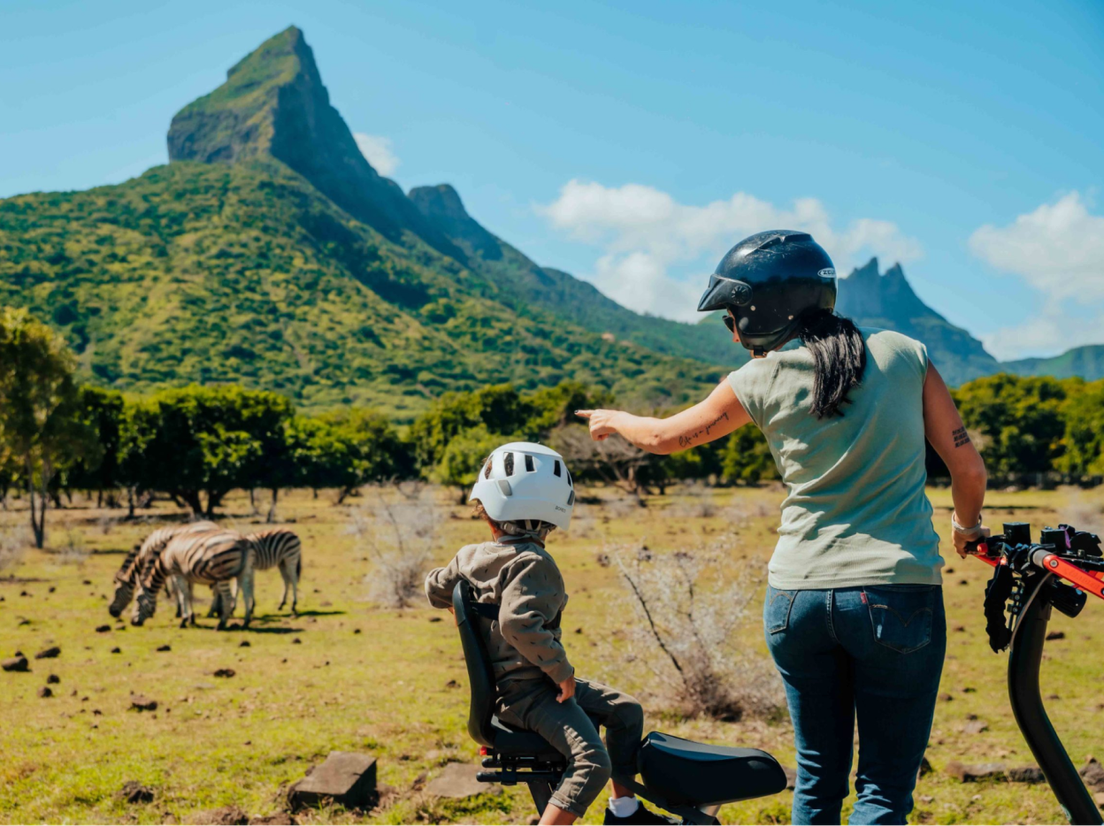 Сафари на Маврикии