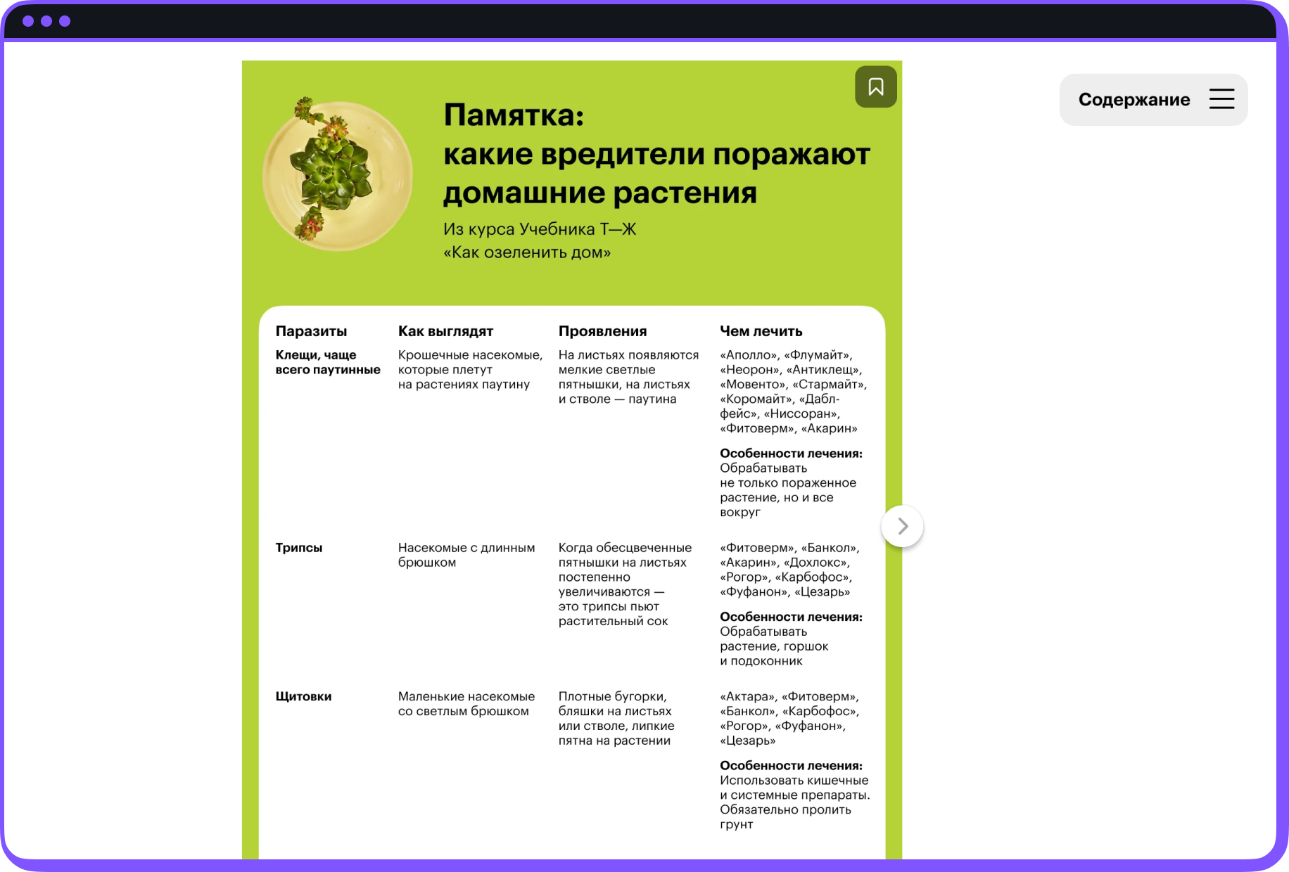 Скриншот уроков