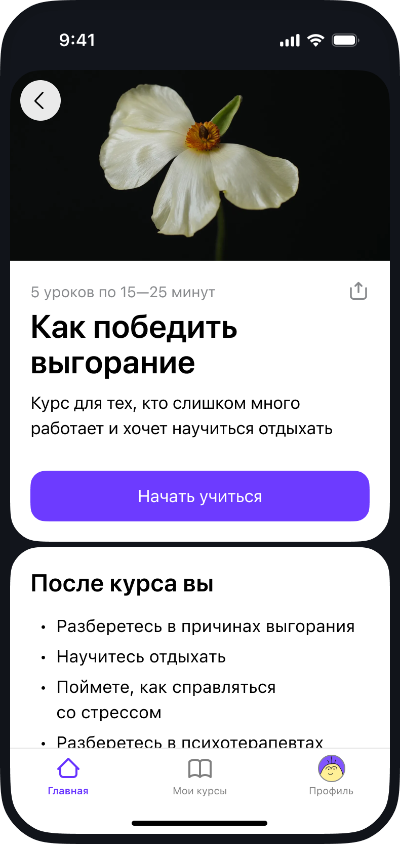 Скриншот из приложения