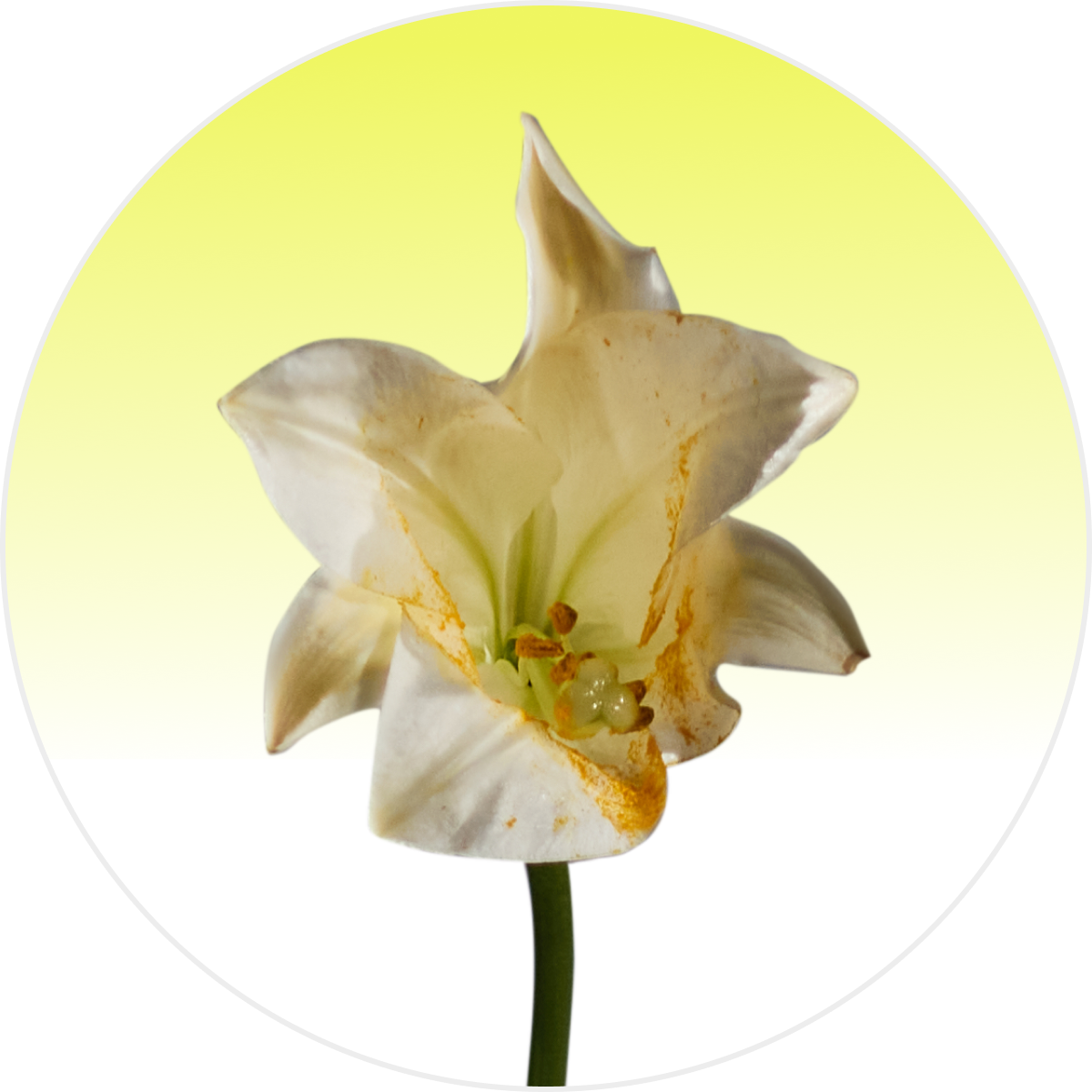 Справляемся с финансовым стрессом