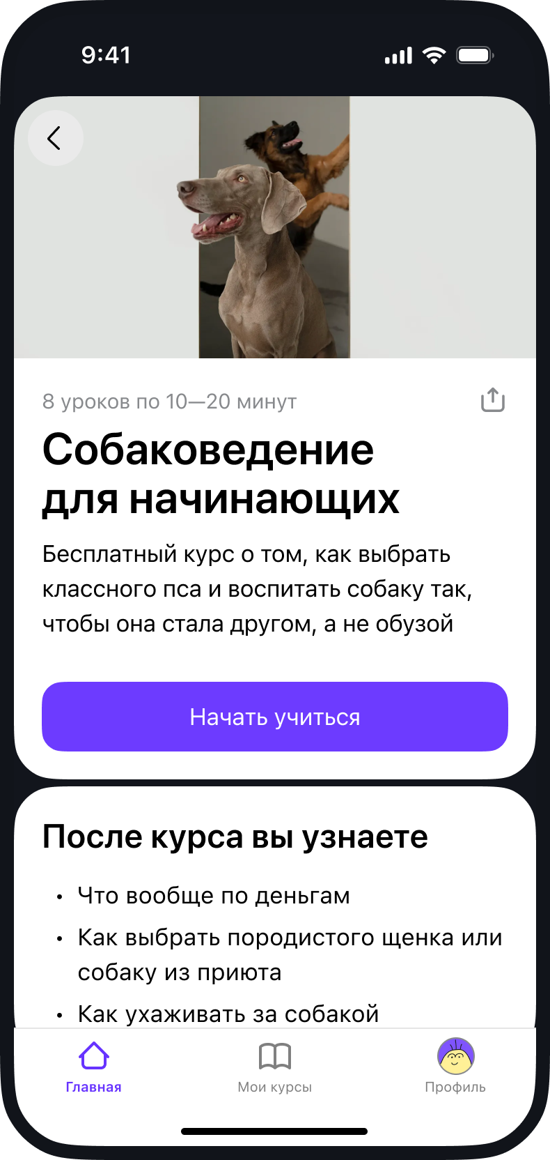 Скриншот из приложения