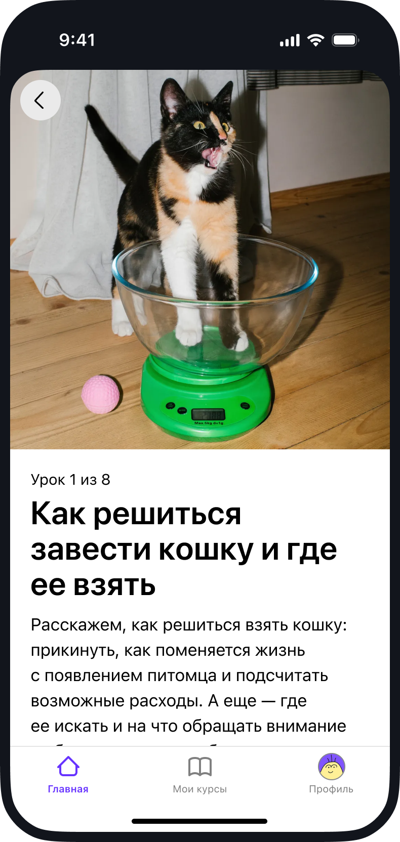 Скриншот из приложения