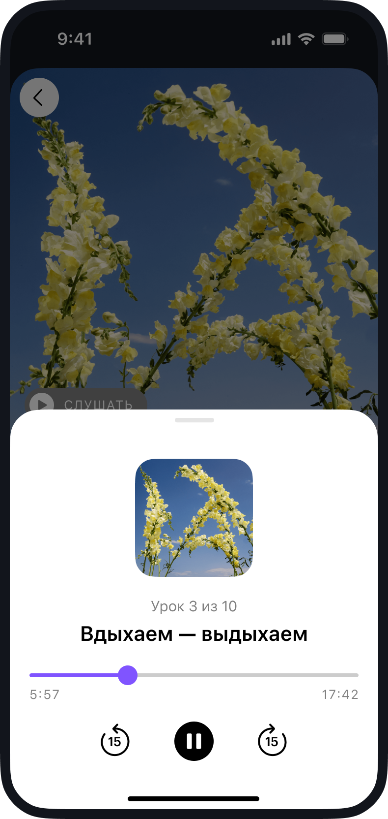 Скриншот из приложения