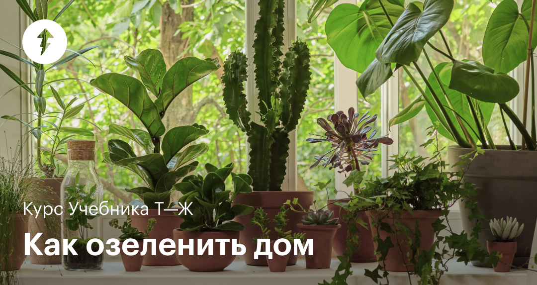 journal.tinkoff.ru