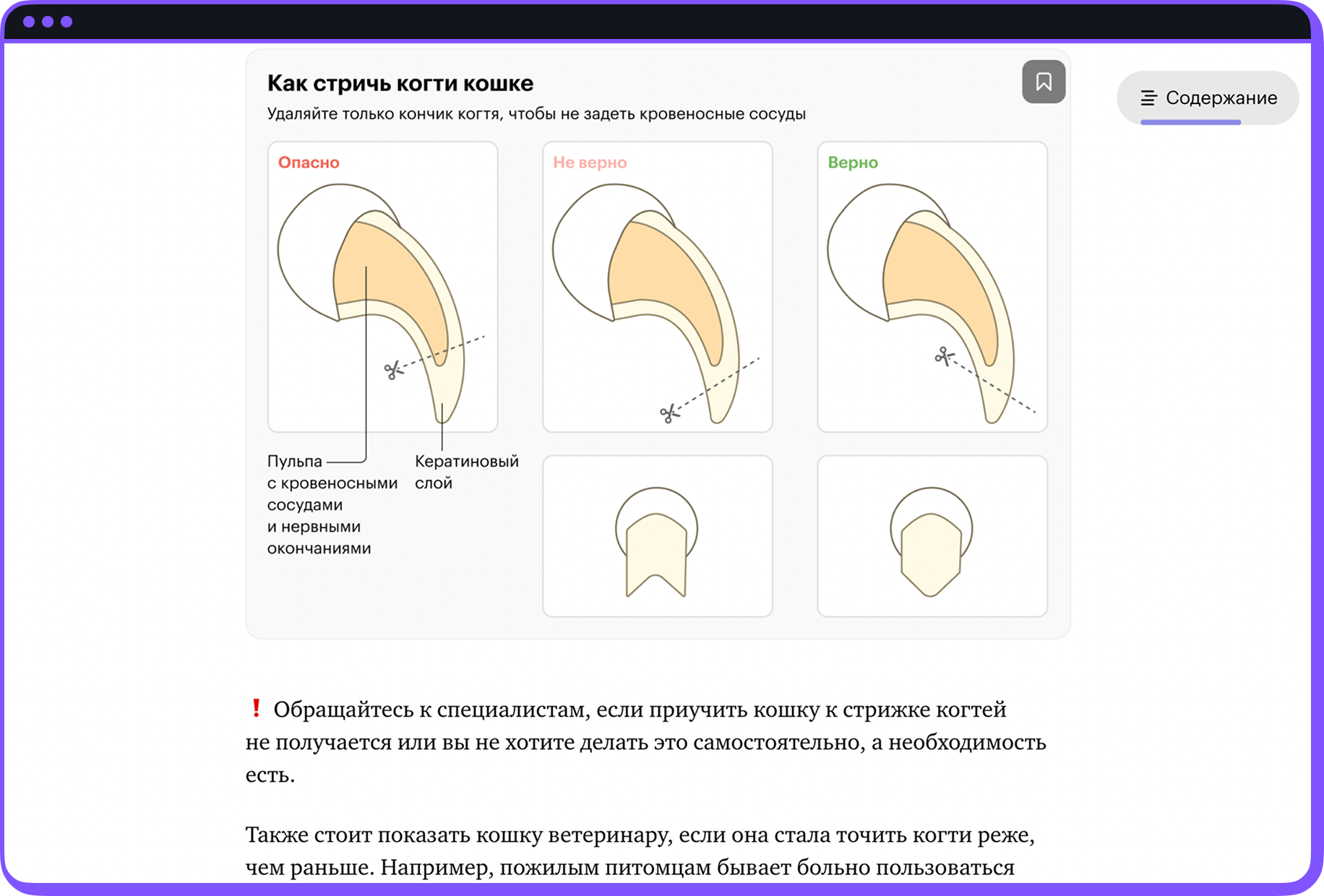 Скриншот уроков
