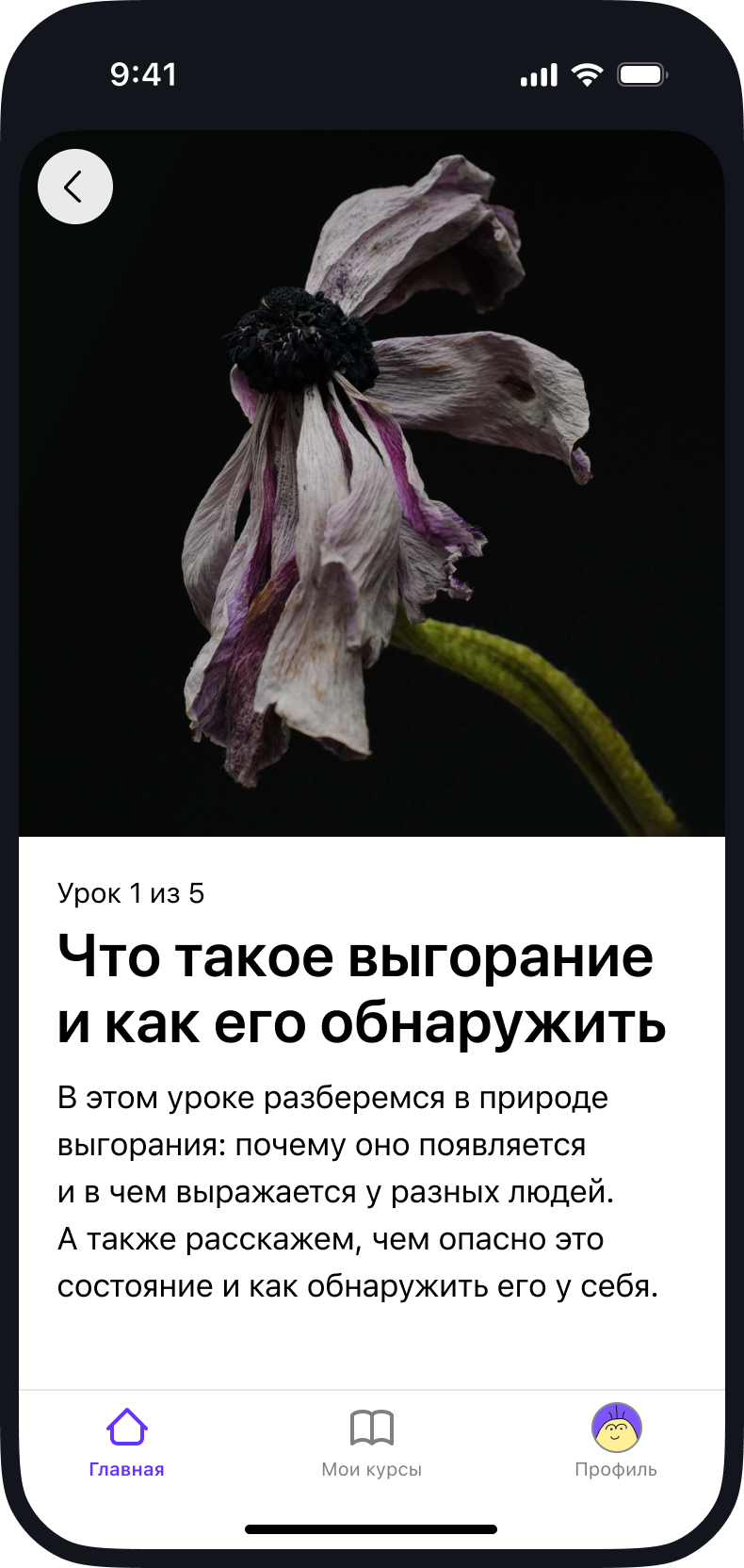 Скриншот из приложения