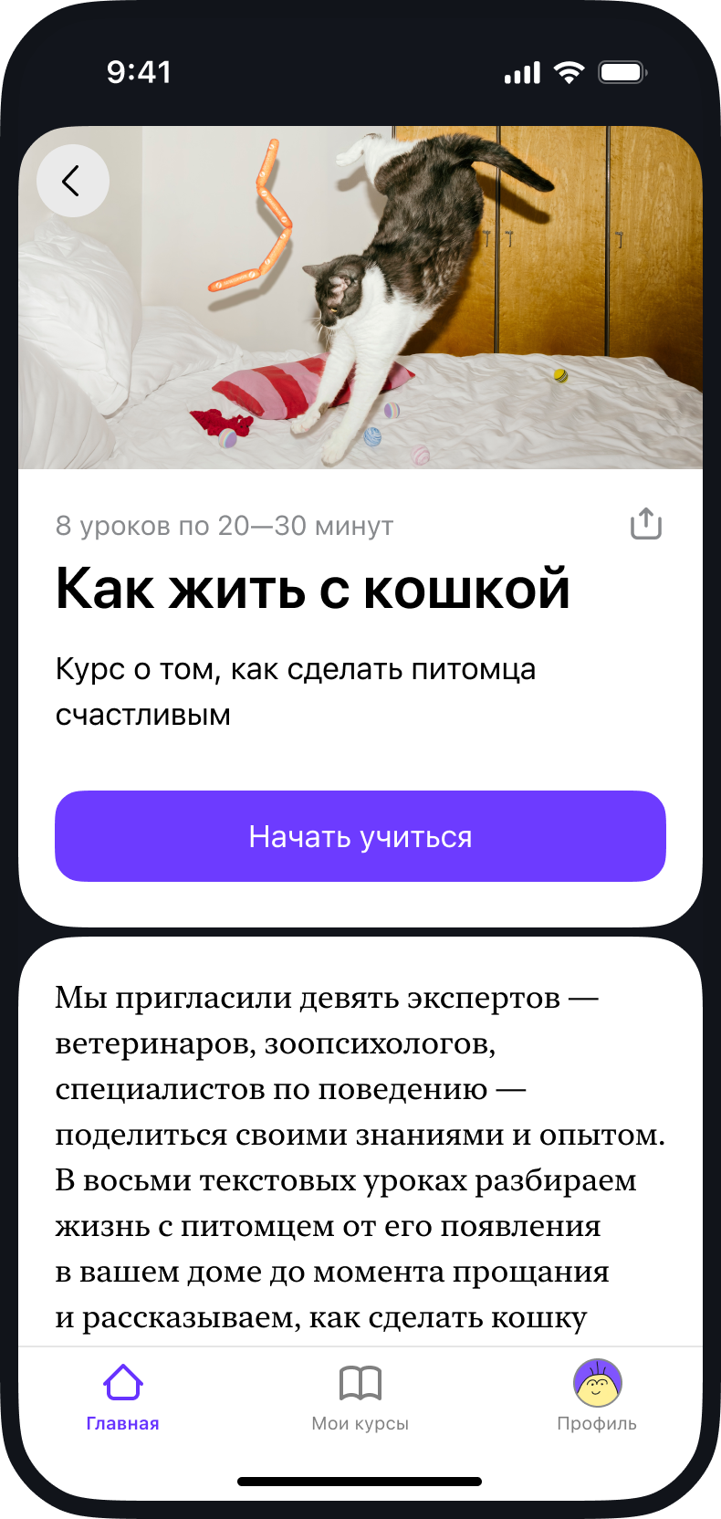 Скриншот из приложения
