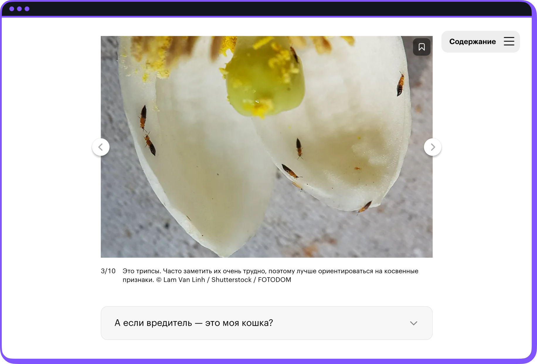 Скриншот уроков