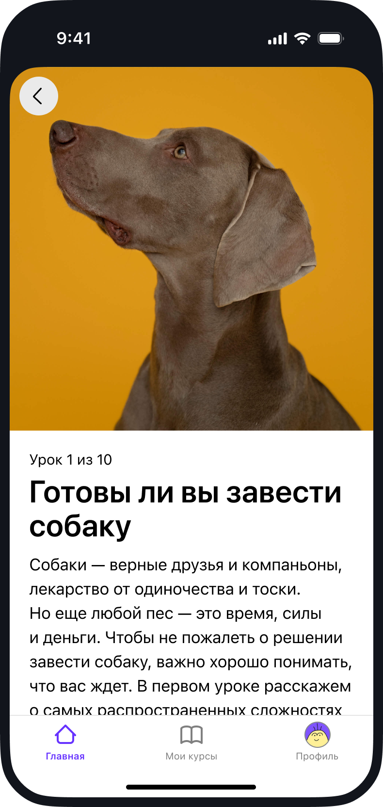 Скриншот из приложения